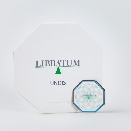 undis_conf_indicum_1570738641